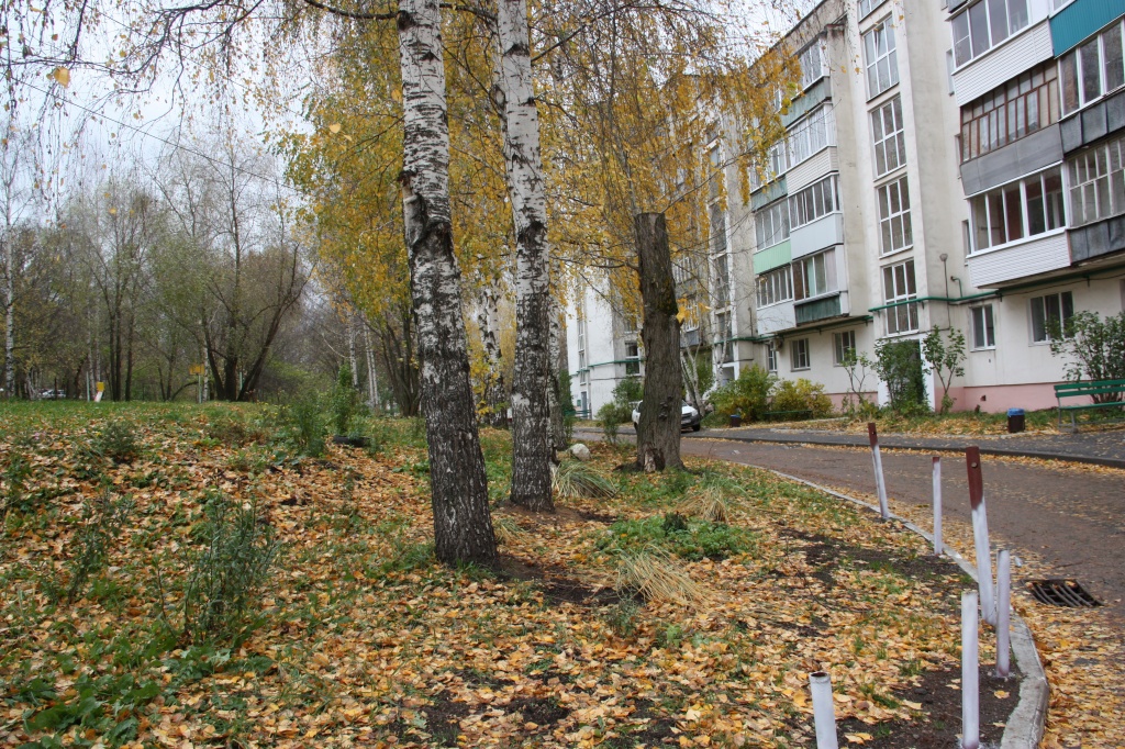 IMG_8679.JPG